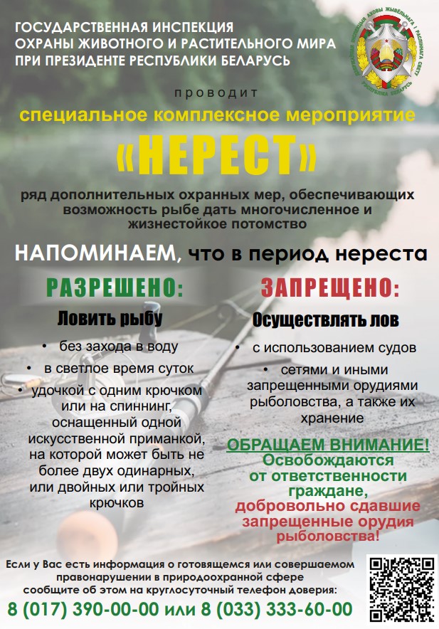 nerest