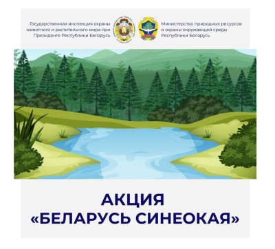 Добрушский район присоединился к масштабной экологической акции &quot;Беларусь синеокая&quot;, направленной на сохранение чистоты рек, озер и прибрежных территорий