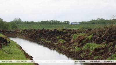 У Беларусі ў бягучую пяцігодку ўвядуць у гаспадарчы абарот пасля меліярацыі каля 415 тыс.га зямель